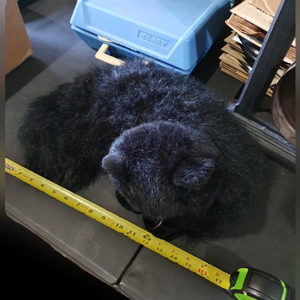 💜 COPY - Black cat halloween costume prop Salem CAOS - Picture 2 of 7